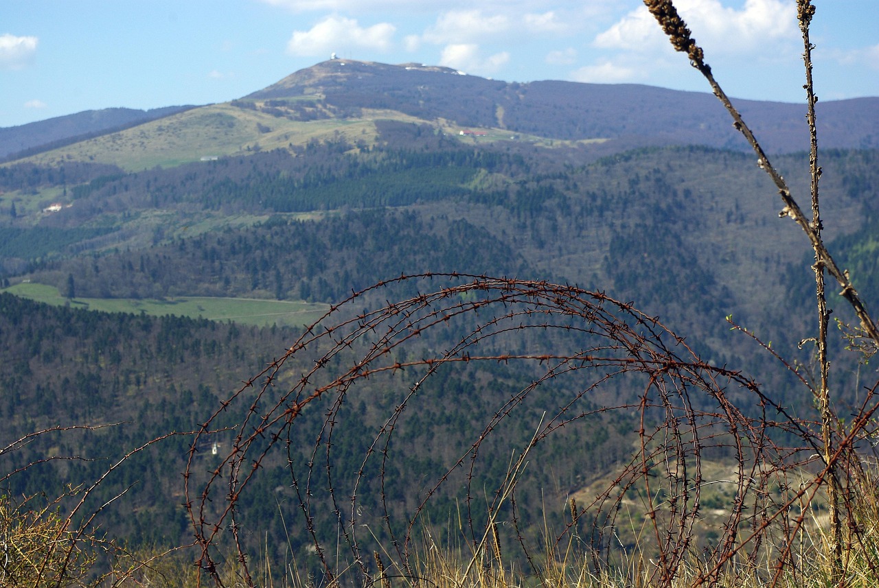 在线双语服务团队：代理注册公司代理平台