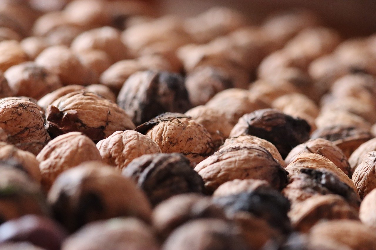 美杜莎传奇：拉萨招聘代理平台